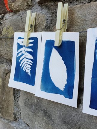 Cyanotype